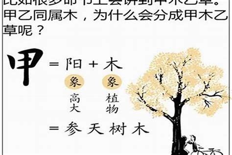 乙木日主|十天干命主白話解說